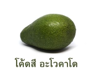 โค้ดสี อะโวคาโด